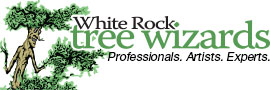 White Rock Tree Wizards